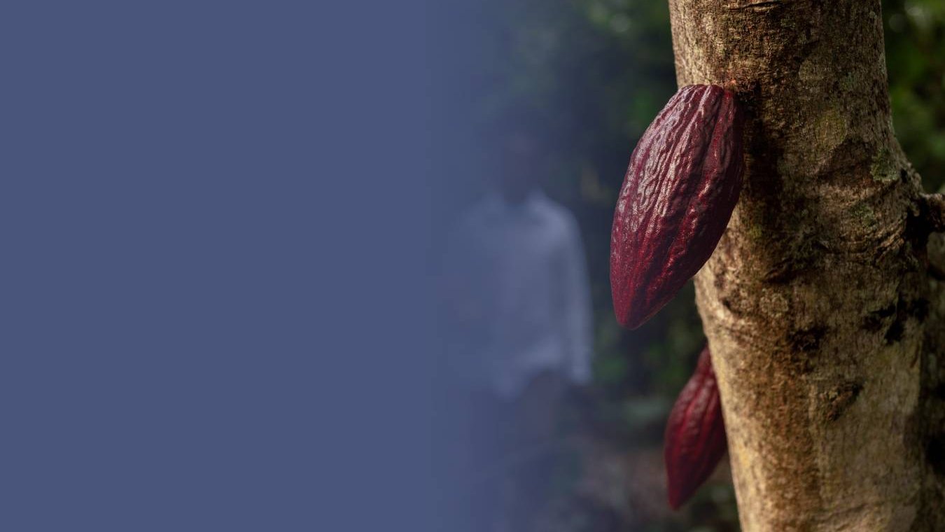 Promoting and Diversifying Nigeria’s Non-Oil Exports