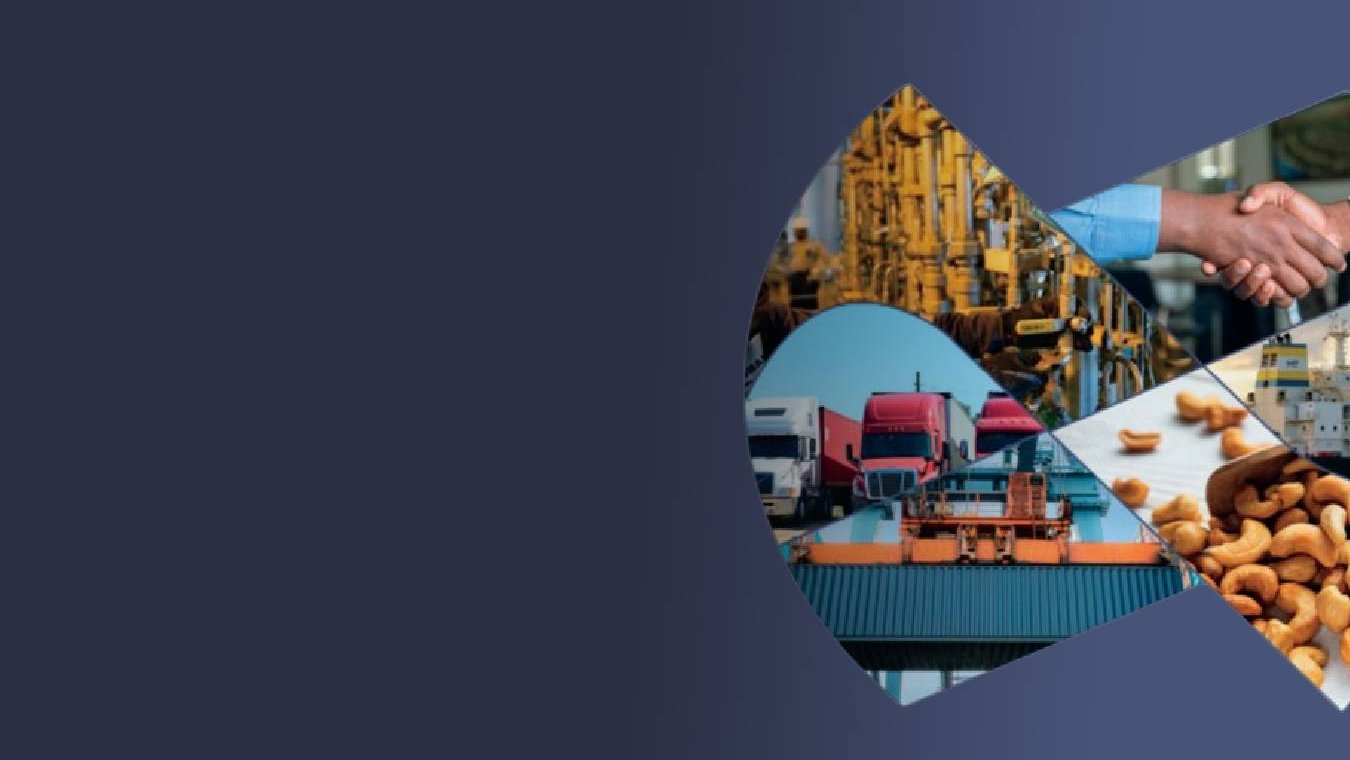 Produce. Add Value. Export (PAVE)