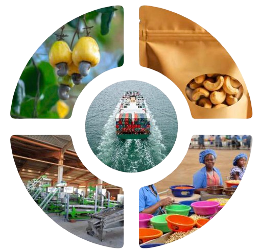 PAVE - Produce Add Value Export